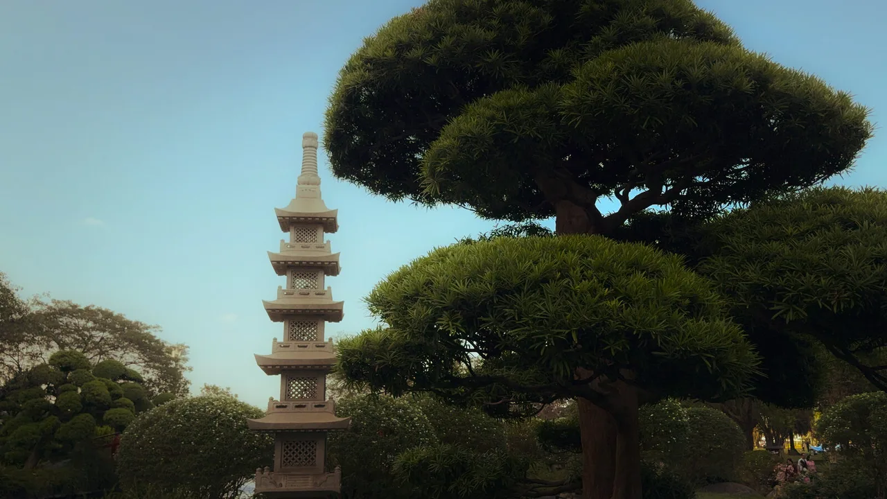 A stone pagoda beside a pine pruned into cloud-like tiers, under a pale blue sky.